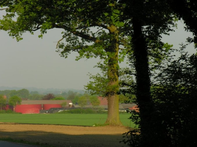RTF Westfaelisches Versailles 289